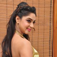 Angana Roy at Sri Sri Movie Audio Launch Stills | Picture 1241938