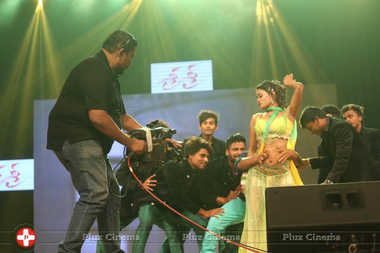 Sri Sri Movie Audio Launch Photos | Picture 1242224