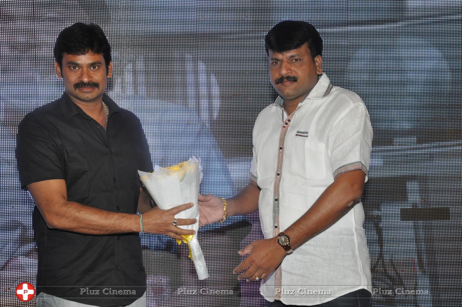 Bhadram Be Careful Brother Movie Audio Launch Photos | Picture 1246933
