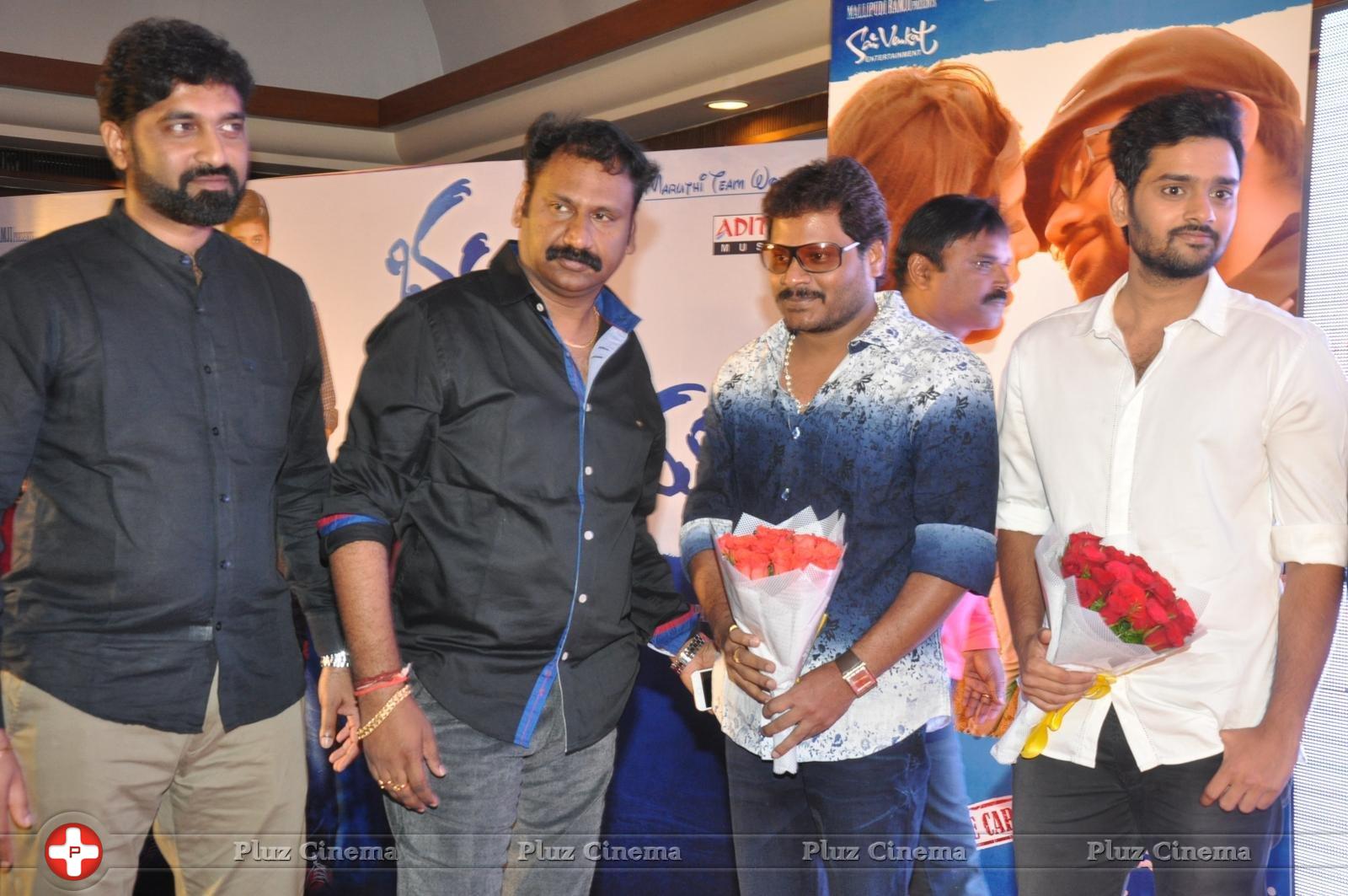 Bhadram Be Careful Brother Movie Audio Launch Photos | Picture 1246934