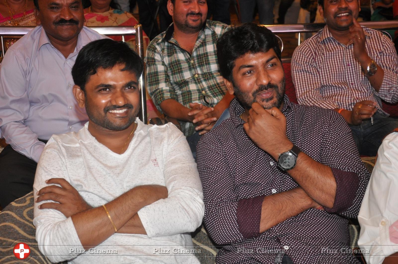 Bhadram Be Careful Brother Movie Audio Launch Photos | Picture 1246942