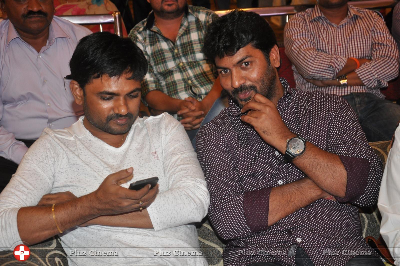 Bhadram Be Careful Brother Movie Audio Launch Photos | Picture 1246945