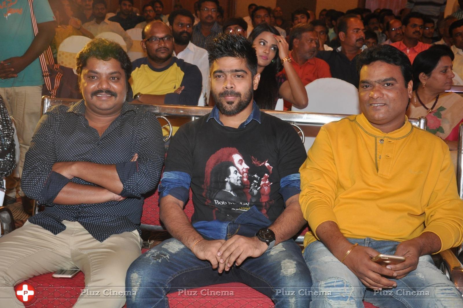 Bhadram Be Careful Brother Movie Audio Launch Photos | Picture 1246991