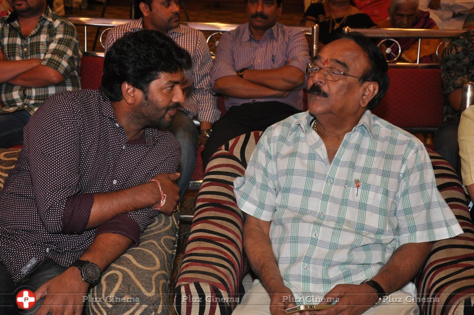 Bhadram Be Careful Brother Movie Audio Launch Photos | Picture 1246994