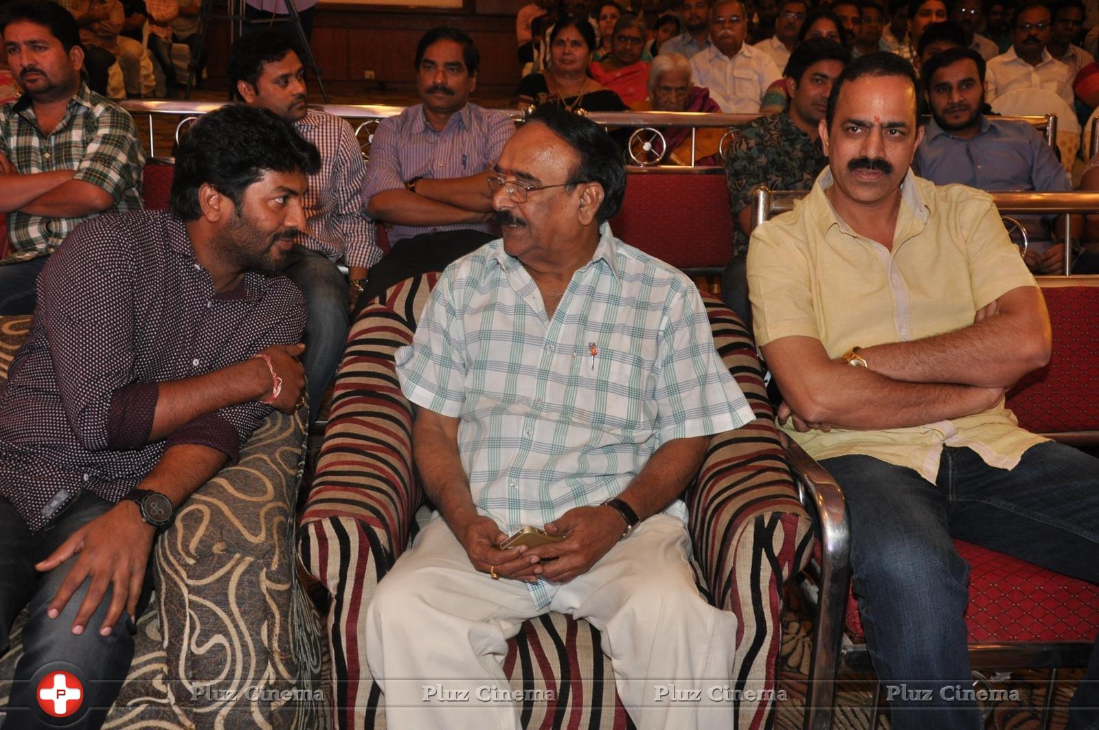 Bhadram Be Careful Brother Movie Audio Launch Photos | Picture 1246995