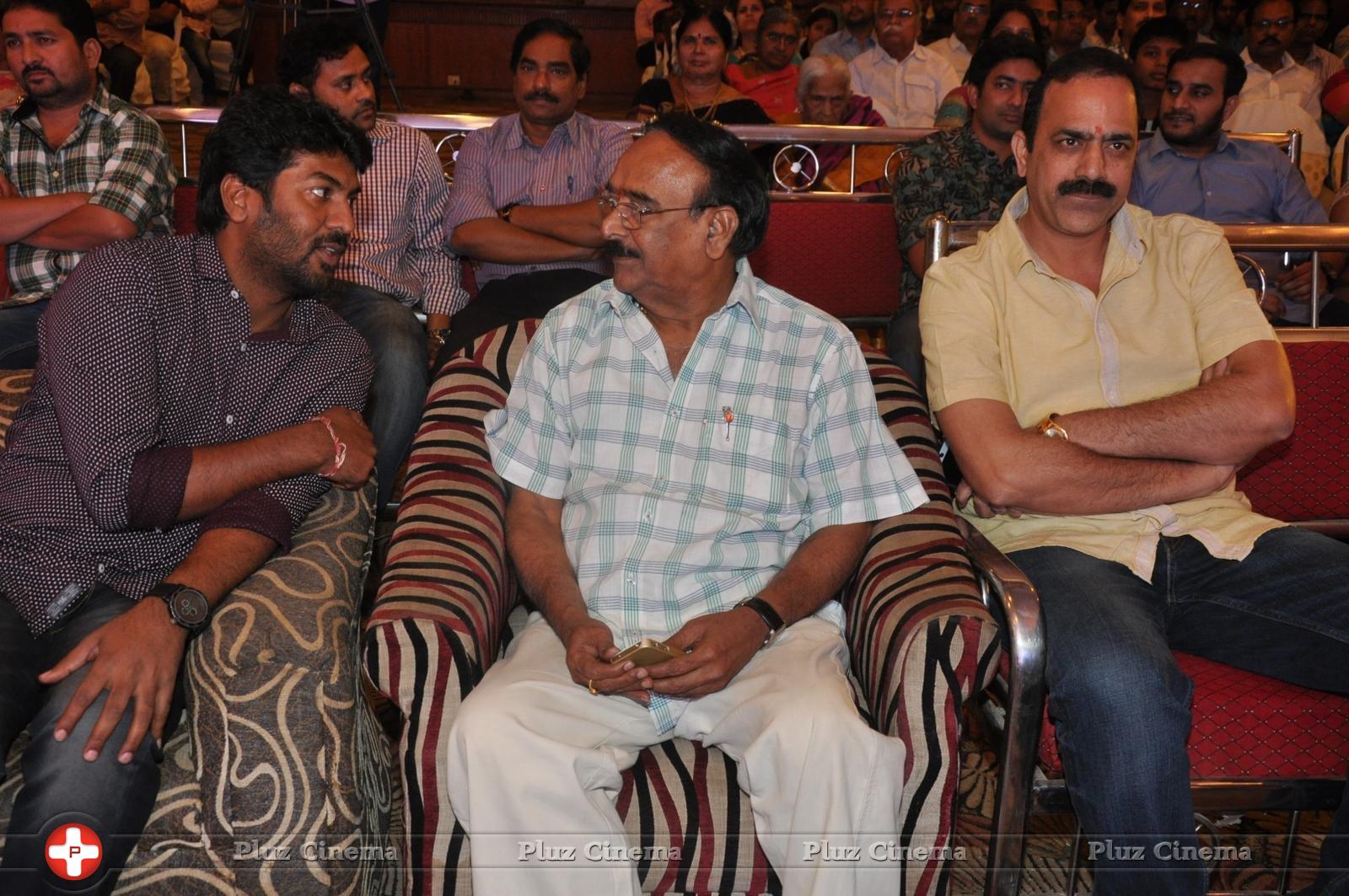 Bhadram Be Careful Brother Movie Audio Launch Photos | Picture 1246996