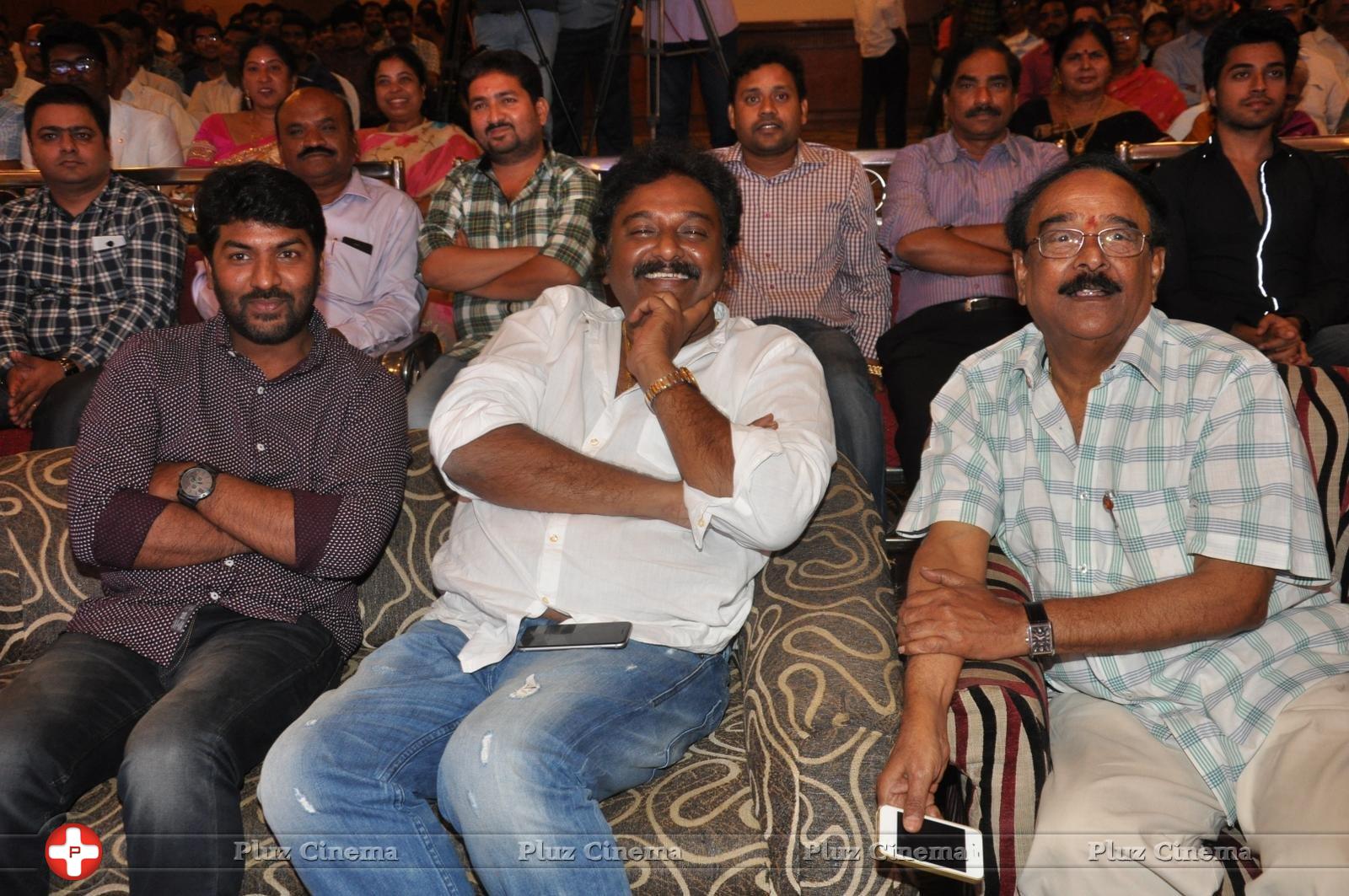 Bhadram Be Careful Brother Movie Audio Launch Photos | Picture 1247008