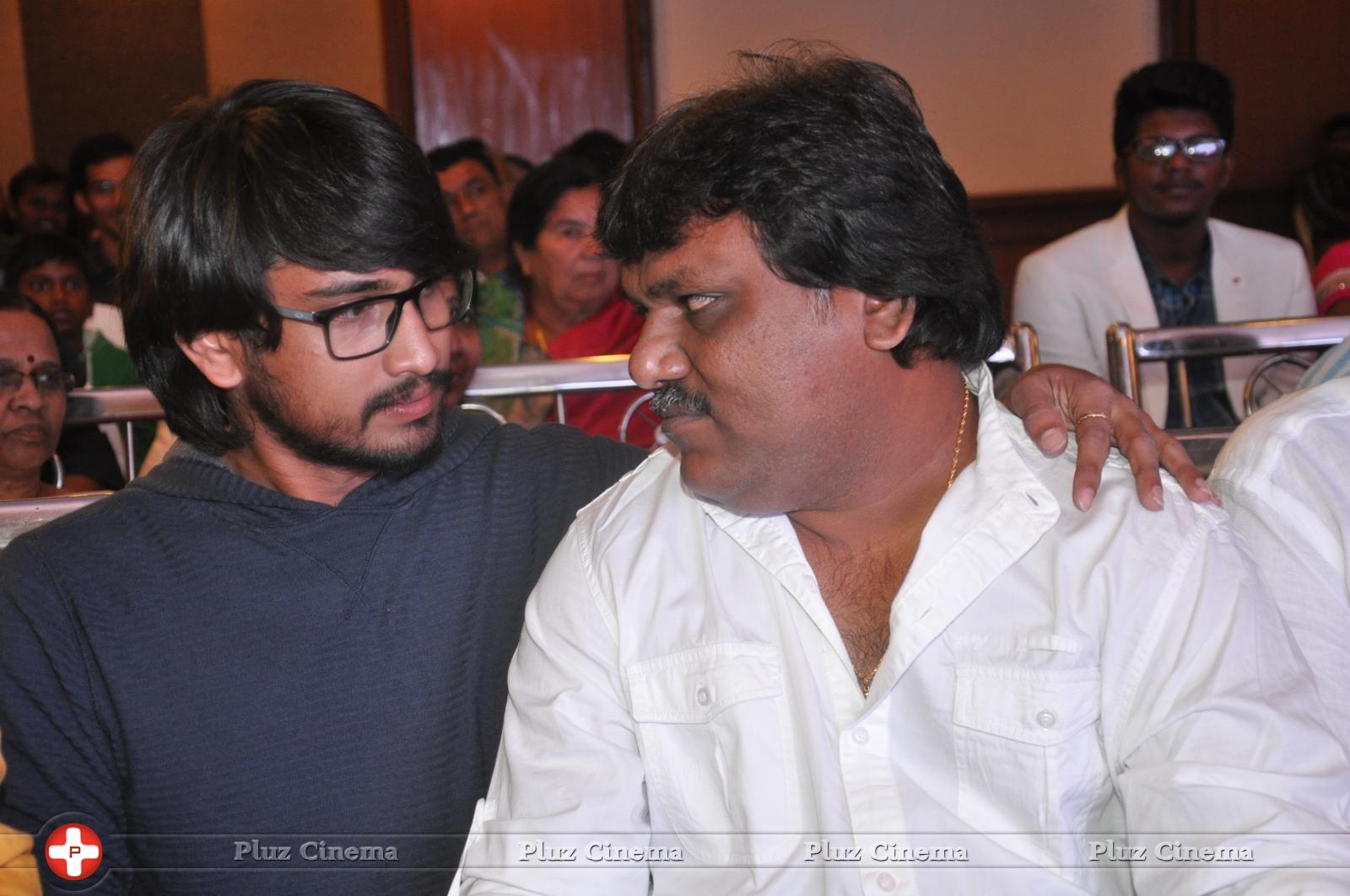 Bhadram Be Careful Brother Movie Audio Launch Photos | Picture 1247018