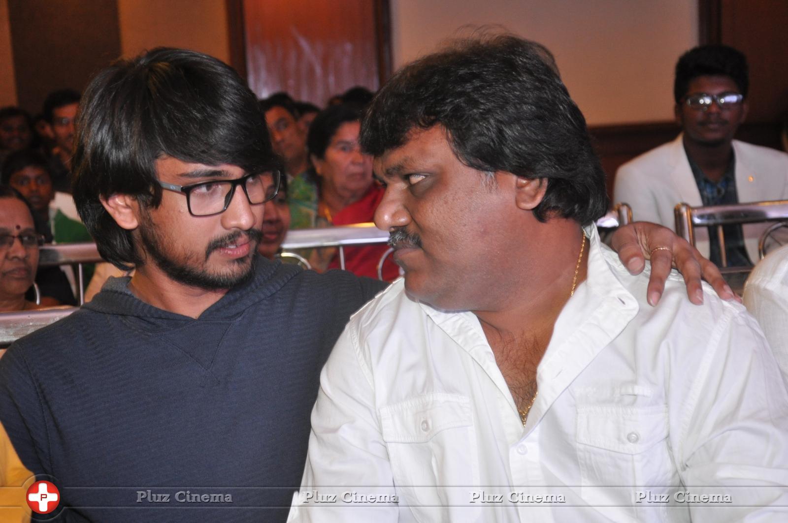 Bhadram Be Careful Brother Movie Audio Launch Photos | Picture 1247019