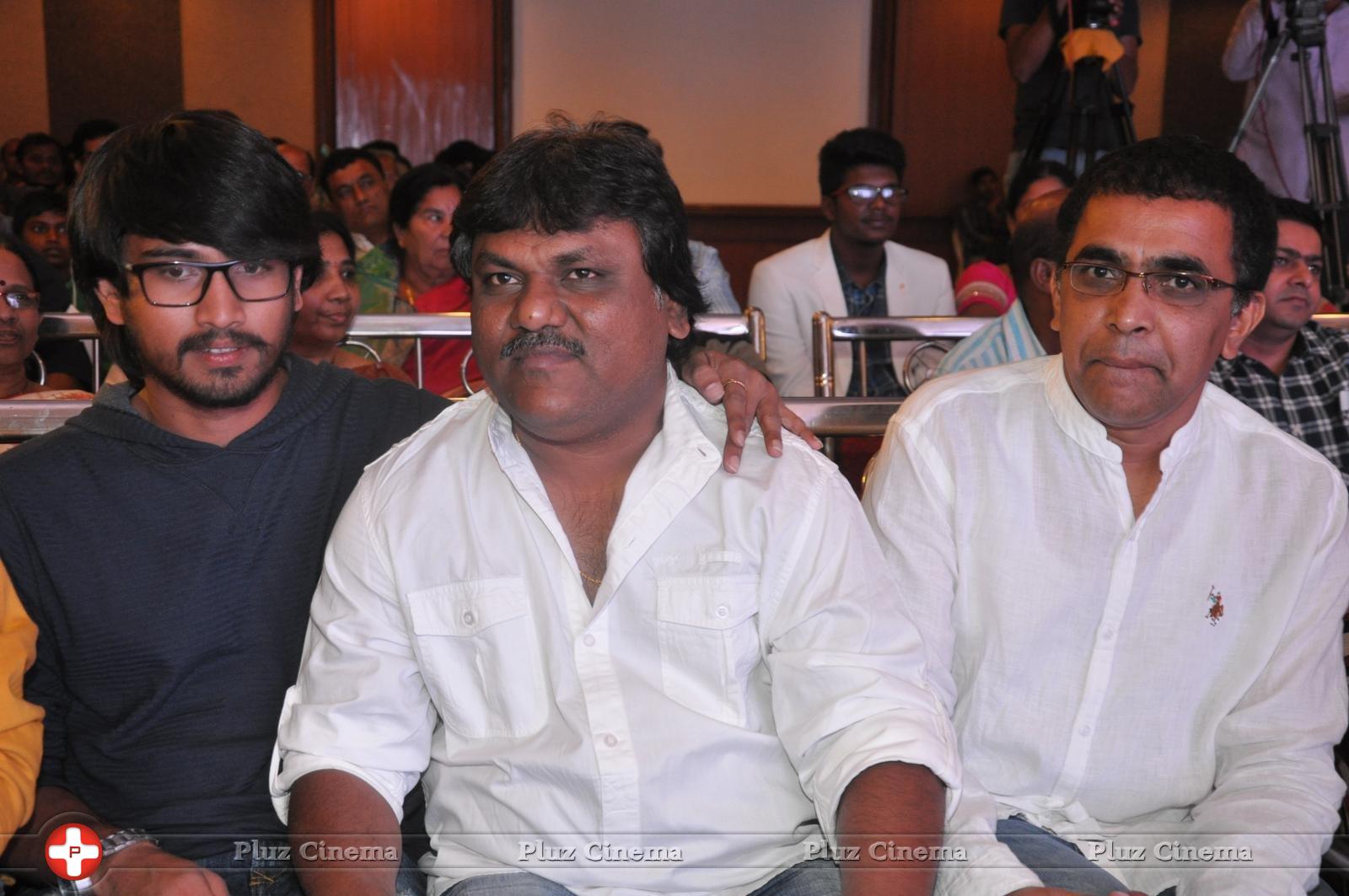 Bhadram Be Careful Brother Movie Audio Launch Photos | Picture 1247020