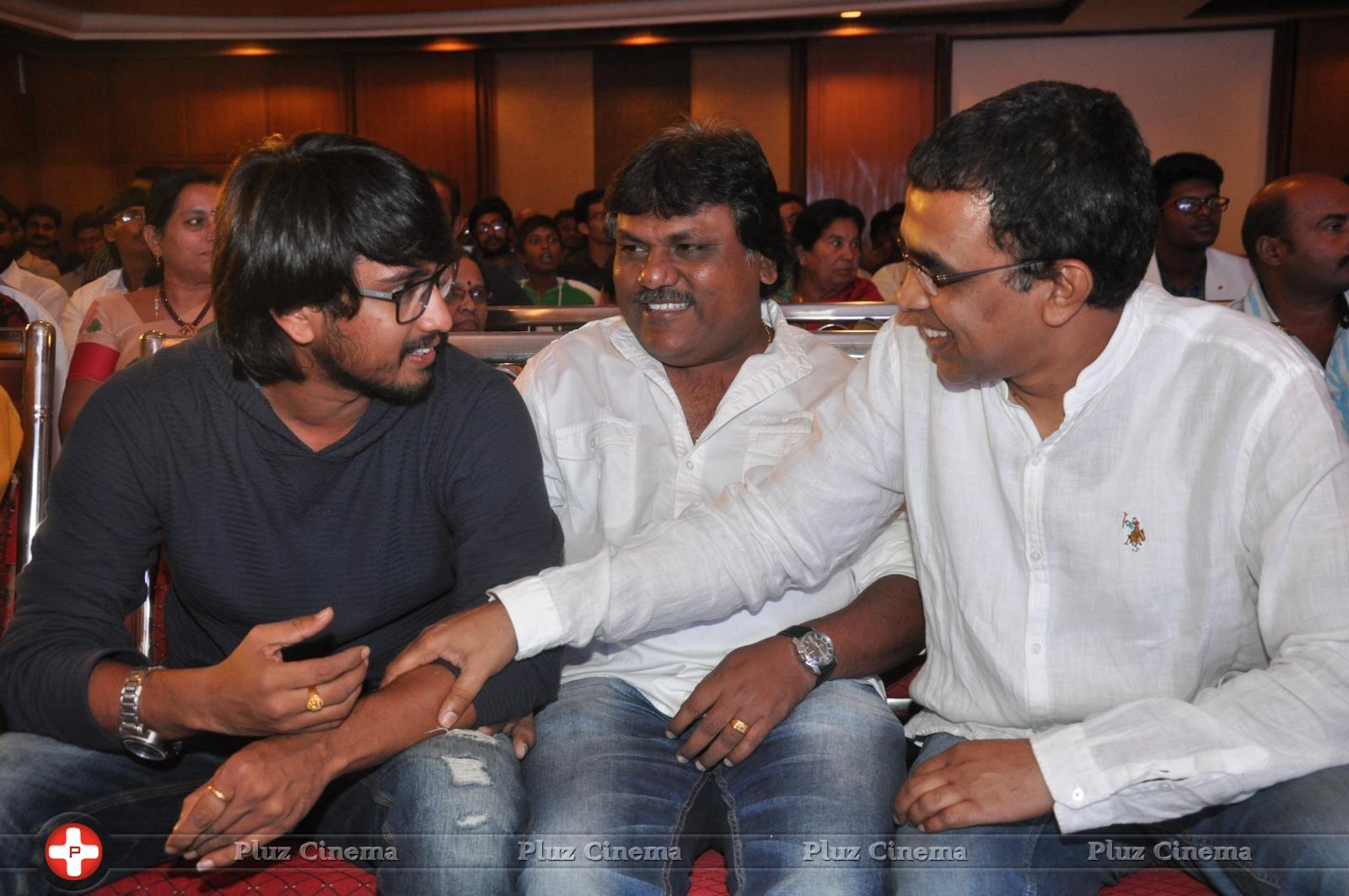 Bhadram Be Careful Brother Movie Audio Launch Photos | Picture 1247034