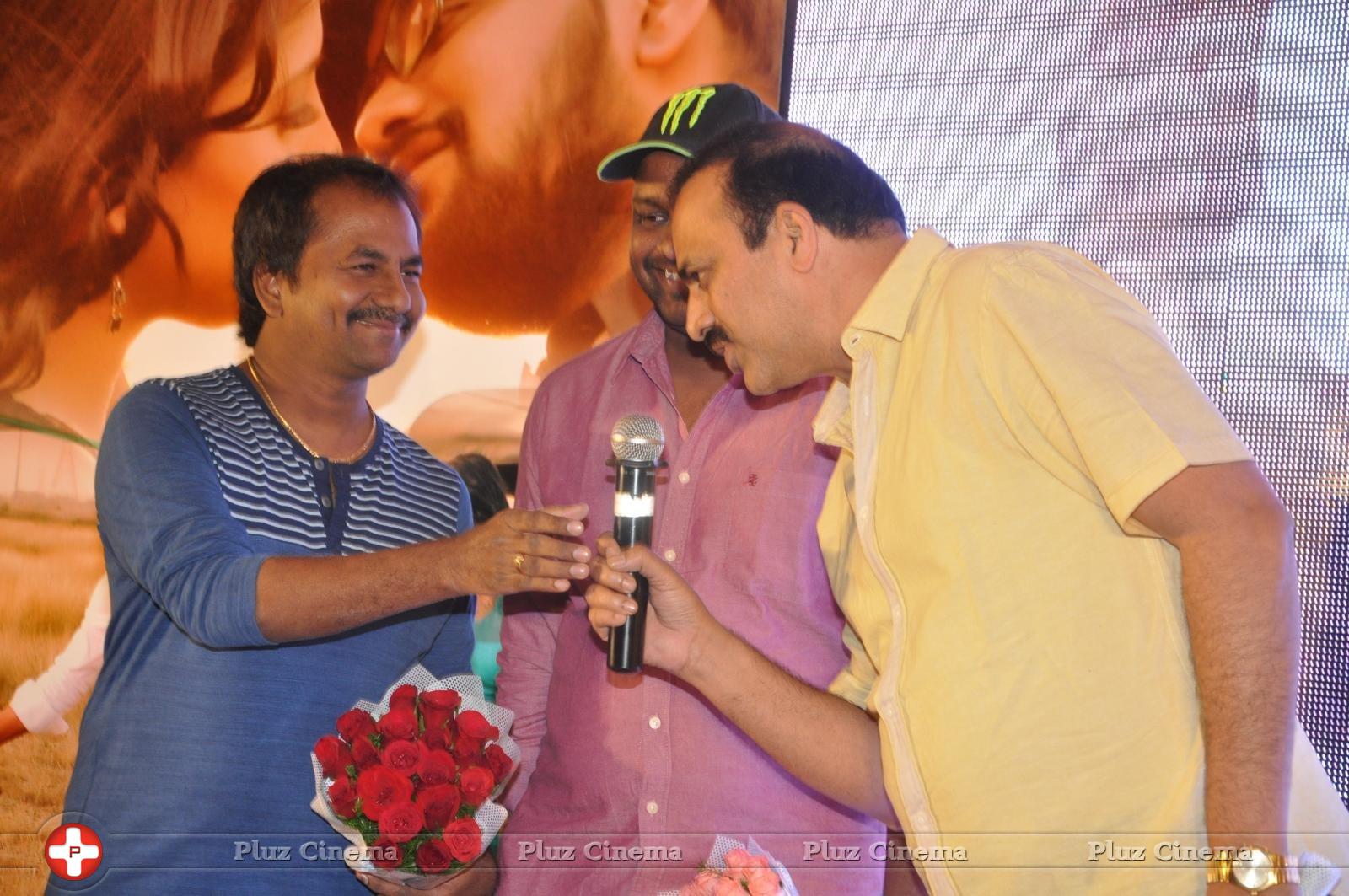 Bhadram Be Careful Brother Movie Audio Launch Photos | Picture 1247036