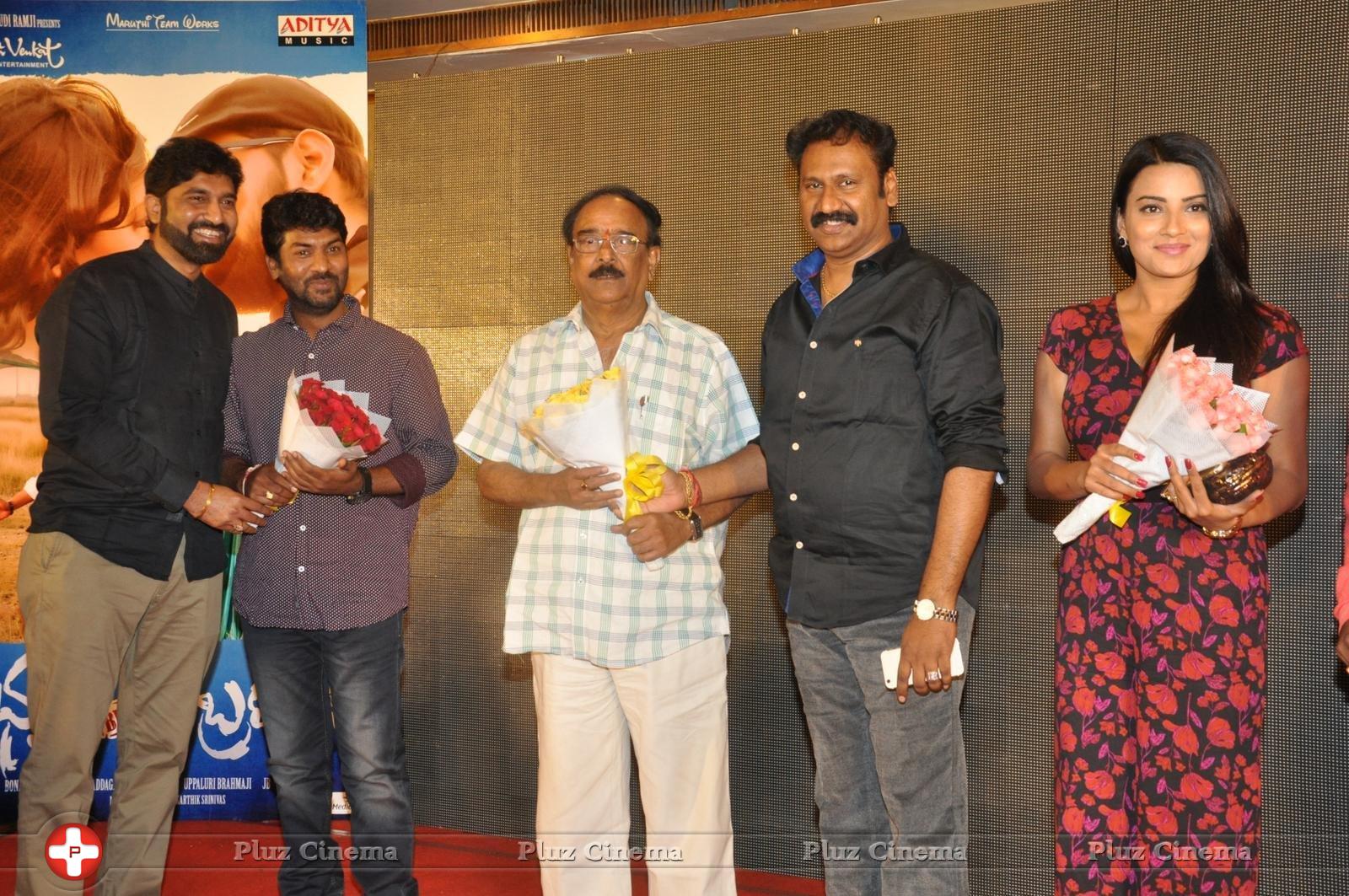 Bhadram Be Careful Brother Movie Audio Launch Photos | Picture 1247040
