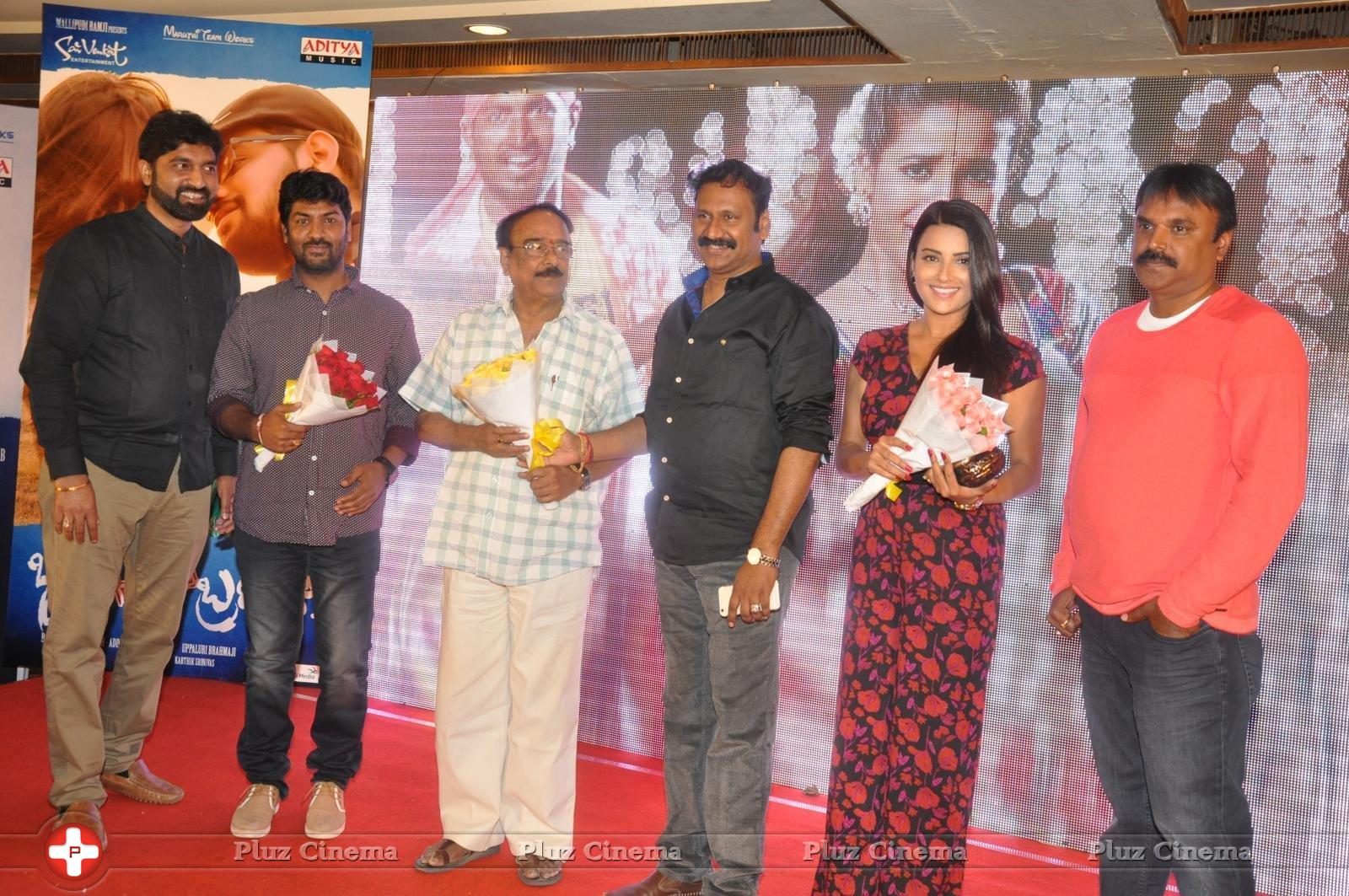 Bhadram Be Careful Brother Movie Audio Launch Photos | Picture 1247043