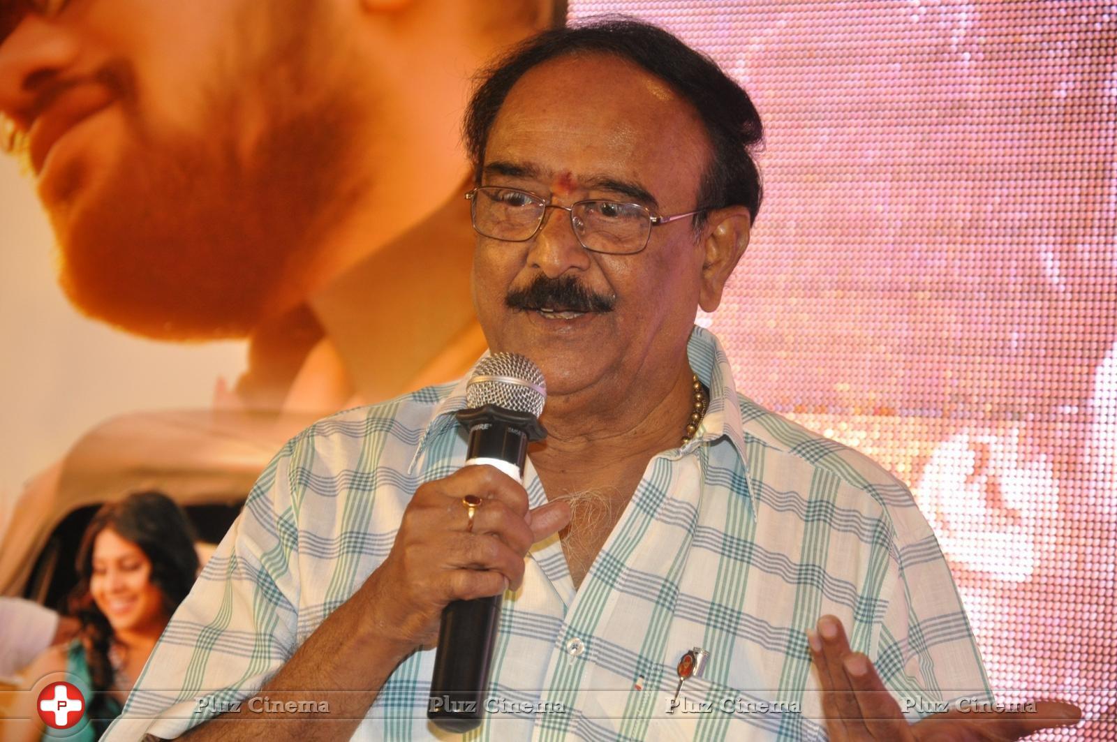 Bhadram Be Careful Brother Movie Audio Launch Photos | Picture 1247052