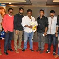 Bhadram Be Careful Brother Movie Audio Launch Photos | Picture 1246918