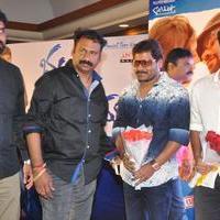 Bhadram Be Careful Brother Movie Audio Launch Photos | Picture 1246934