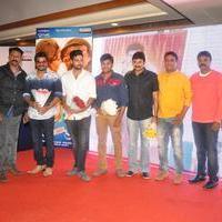 Bhadram Be Careful Brother Movie Audio Launch Photos | Picture 1246939