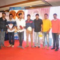 Bhadram Be Careful Brother Movie Audio Launch Photos | Picture 1246940