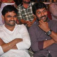 Bhadram Be Careful Brother Movie Audio Launch Photos | Picture 1246943