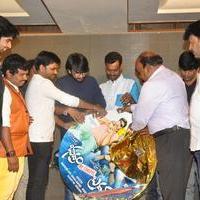 Bhadram Be Careful Brother Movie Audio Launch Photos | Picture 1246961