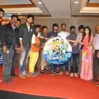 Bhadram Be Careful Brother Movie Audio Launch Photos | Picture 1246965