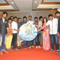 Bhadram Be Careful Brother Movie Audio Launch Photos | Picture 1246967
