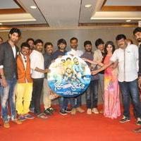 Bhadram Be Careful Brother Movie Audio Launch Photos | Picture 1246971