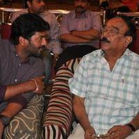 Bhadram Be Careful Brother Movie Audio Launch Photos | Picture 1246994