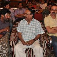 Bhadram Be Careful Brother Movie Audio Launch Photos | Picture 1246995