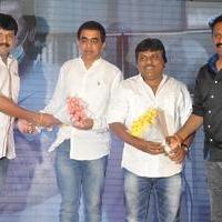 Bhadram Be Careful Brother Movie Audio Launch Photos | Picture 1247001