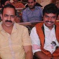 Bhadram Be Careful Brother Movie Audio Launch Photos | Picture 1247003