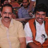 Bhadram Be Careful Brother Movie Audio Launch Photos | Picture 1247004