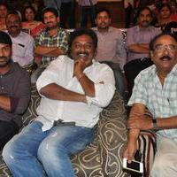 Bhadram Be Careful Brother Movie Audio Launch Photos | Picture 1247009