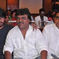 Bhadram Be Careful Brother Movie Audio Launch Photos | Picture 1247020