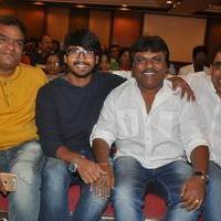 Bhadram Be Careful Brother Movie Audio Launch Photos | Picture 1247023