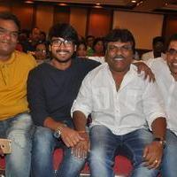 Bhadram Be Careful Brother Movie Audio Launch Photos | Picture 1247024