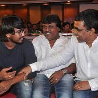 Bhadram Be Careful Brother Movie Audio Launch Photos | Picture 1247034