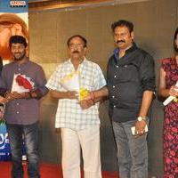 Bhadram Be Careful Brother Movie Audio Launch Photos | Picture 1247041
