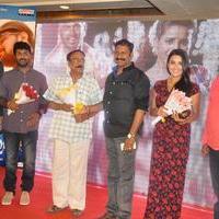 Bhadram Be Careful Brother Movie Audio Launch Photos | Picture 1247043