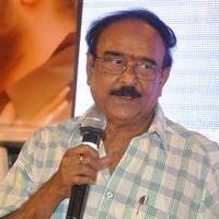 Bhadram Be Careful Brother Movie Audio Launch Photos | Picture 1247051