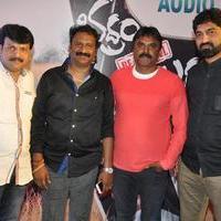 Bhadram Be Careful Brother Movie Audio Launch Photos | Picture 1247058