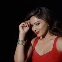 Nikisha Patel at Araku Road Lo Movie Press Meet Photos | Picture 1250300