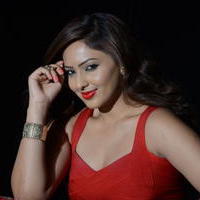 Nikisha Patel at Araku Road Lo Movie Press Meet Photos | Picture 1250303