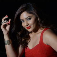 Nikisha Patel at Araku Road Lo Movie Press Meet Photos | Picture 1250307