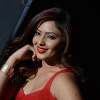 Nikisha Patel at Araku Road Lo Movie Press Meet Photos | Picture 1250311