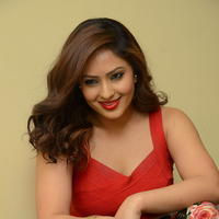 Nikisha Patel at Araku Road Lo Movie Press Meet Photos | Picture 1250370