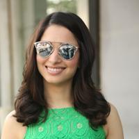Tamanna New Gallery | Picture 1253213