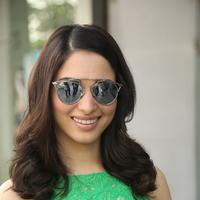 Tamanna New Gallery | Picture 1253244