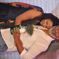 Kalyana Vaibhogame Movie Audio Launch Stills | Picture 1195499